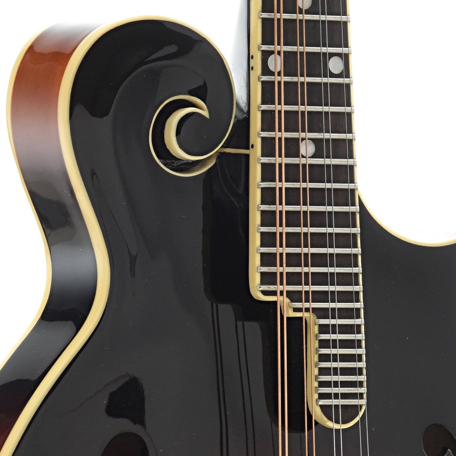 The Loar LM-520-VS Mandolin with Case, Hand Carved, F-Style, All Solid
