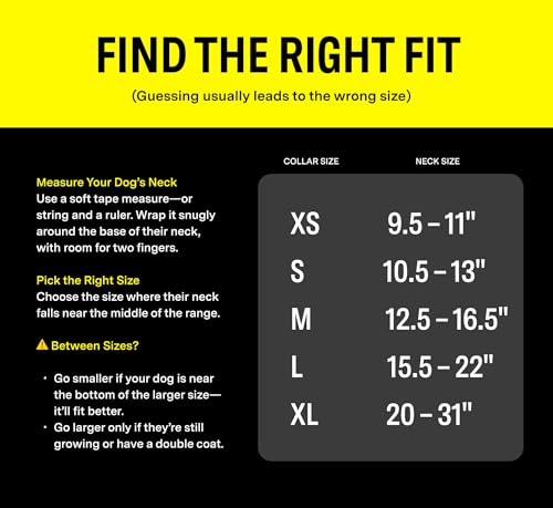 Fi Series 3 Smart Dog Collar - GPS Dog Tracker and Activity & Health Monitor, Waterproof, LED Light, Escape Alerts, Nationwide Coverage [Free 1 Year Membership] (Pink, Medium)