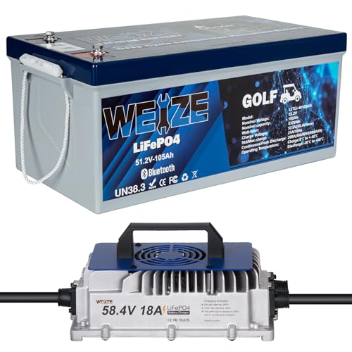 Weize 12V 100Ah TM LiFePO4 Lithium Battery, Built-in Smart BMS, Group 31 Deep Cycle Battery Perfect for Trolling Motor, RV, Solar, Marine, Overland/Van, and Off Grid Applications