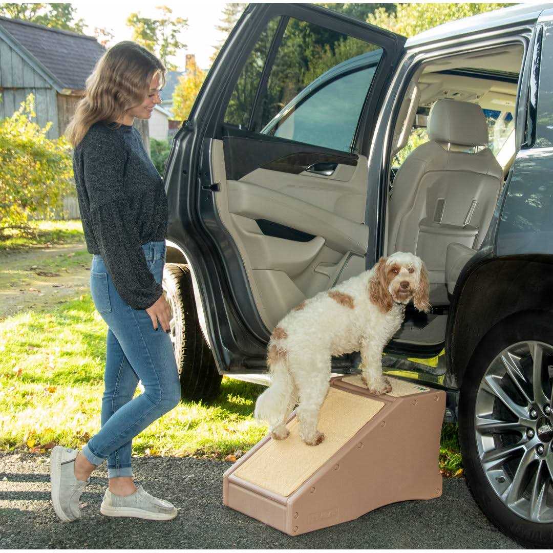 Pet Gear Step/Ramp Combination - Pet Supplies online store