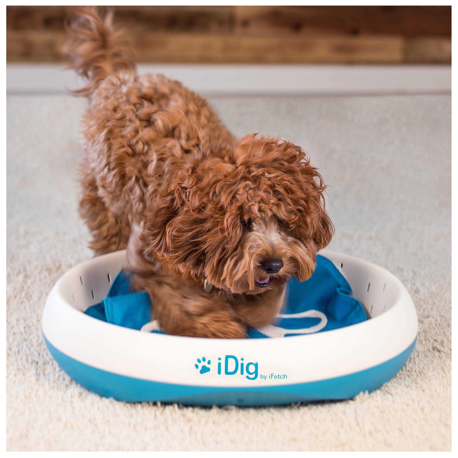 iFetch iDig Stay Digging Toy for Dogs - Pet Supplies online store