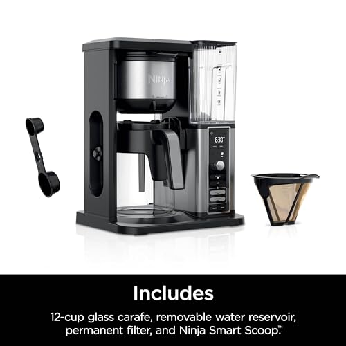 Ninja Hot & Iced XL Coffee Maker with Rapid Cold Brew, 4 Brew Styles, 8 Sizes Small Cup to Travel Mug, Single-Serve Coffee Brewer, 12-Cup Carafe, Permanent Filter, Removable Reservoir, Black, CM371