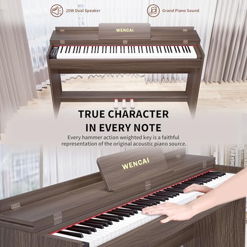 88 Key Fully Weighted Digital Piano Keyboard, 88 Keys Hammer Action Electric Pianos, Wooden Classic Upright Electronic Piano for Beginner, Professional, Midi Compatible, Triple Pedal (Black)