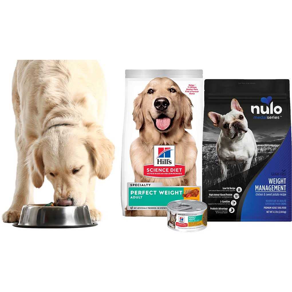 Purina Pro Plan Sensitive Skin &amp; Stomach Salmon Adult Large Breed Formula Dry Dog Food, 34-lb bag - Pet Supplies online store