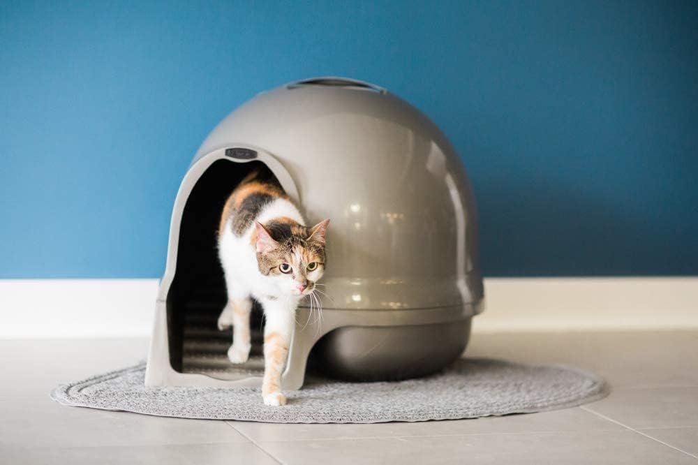 Petmate Booda Clean Step Cat Litter Box Dome (Made in the USA with 95% Recycled Materials)- Brushed Nickel, Made in USA