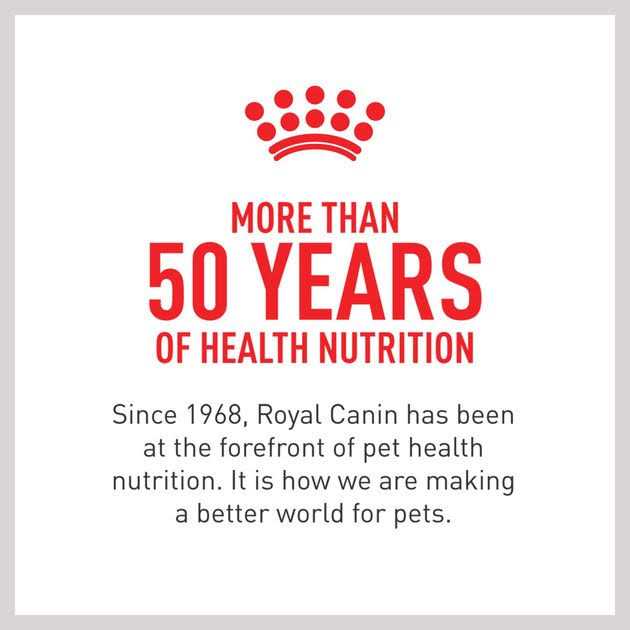 Royal Canin Hydrolyzed Protein Puppy Dry Dog Food Bag - Pet Supplies online store