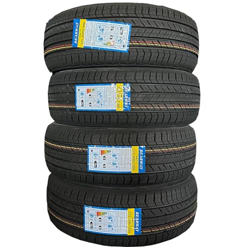 All Season Radial Tire 225/60R17 4PR+BW 99H (225/60R17)