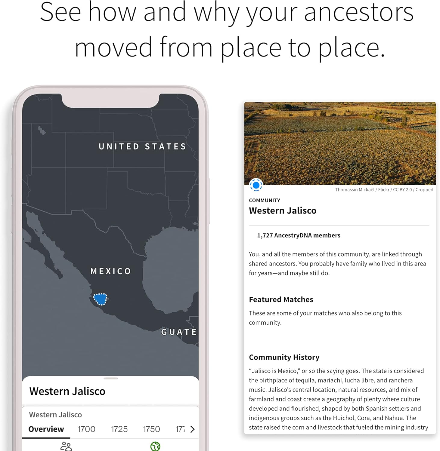 AncestryDNA: Genetic Ethnicity Test, Ethnicity Estimate, AncestryDNA Test Kit Pack of 2
