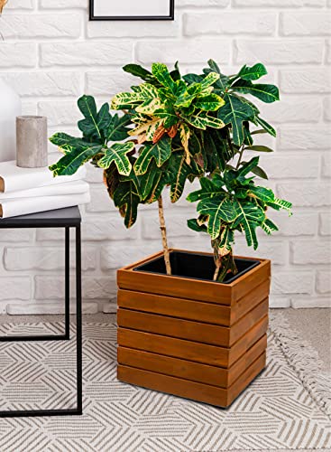 Serene Spaces Living Square Acacia Wood Planter Box, Rustic Indoor Flower and Succulent Planter, Decorative Farmhouse Wooden Storage Container Boxes, Measures 12" L X 12" W X 12" H