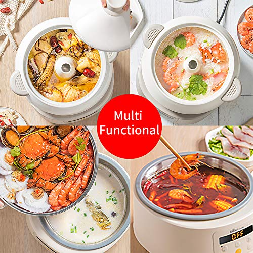 Bear Multi-function Electric Steam Cooker