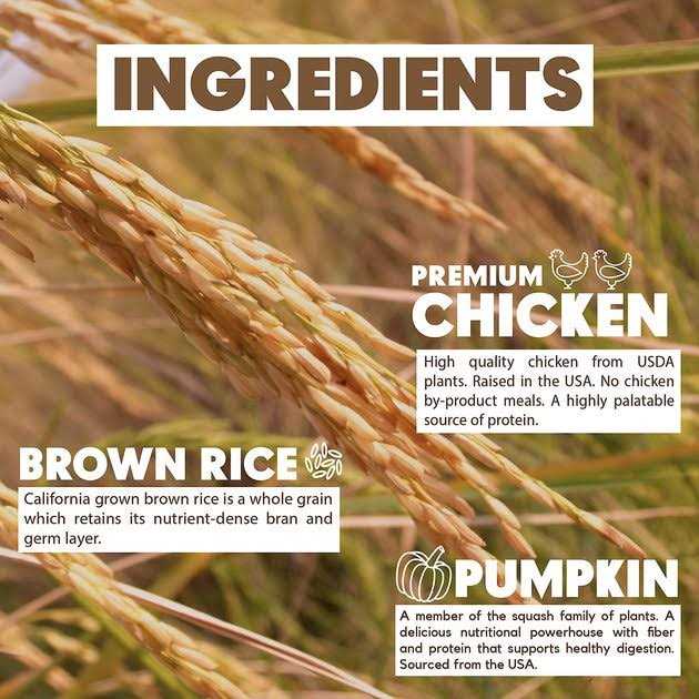 Lucy Pet Formula for Life Chicken Brown Rice & Pumpkin Dry Dog Food