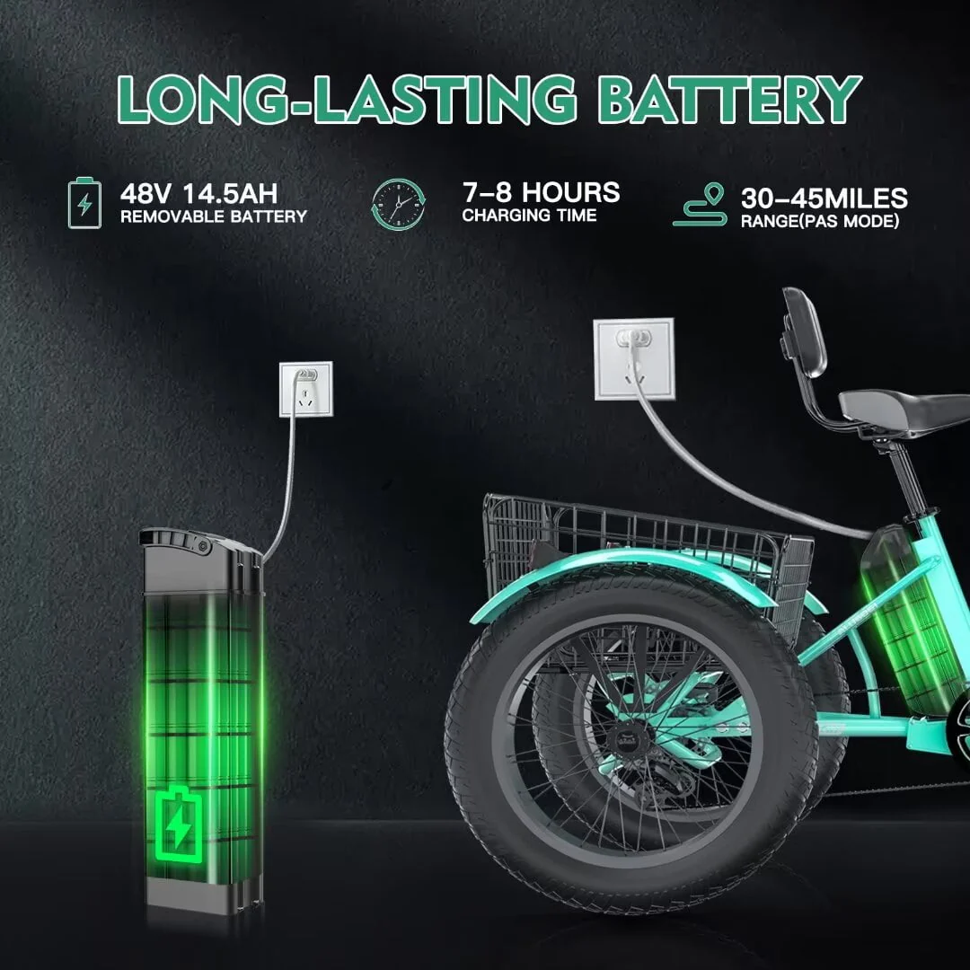 NAIZEA 20 Electric Trike Tricycle for Adults, 7 Speed Fat Tire Electric Trike, 3 Wheels Bike for Adults with Front and Rear Baskets, Lithium Battery UL Certified