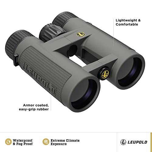 Leupold BX-4 Pro Guide HD Binoculars