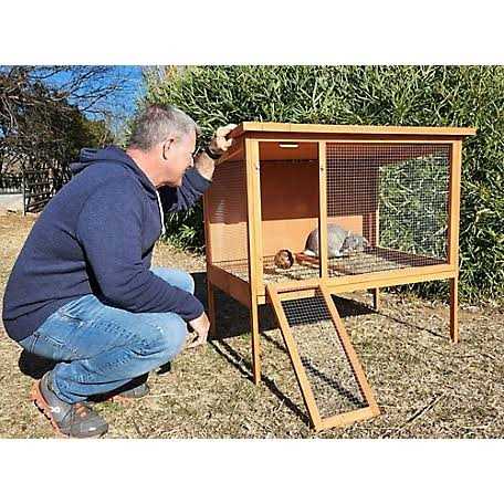 Zylina Rabbit Hutch - Pet Supplies online store
