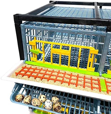 Quail Cage - 5 Layer (Power-Washable, Durable, ABS Plastic) | Hatching Time