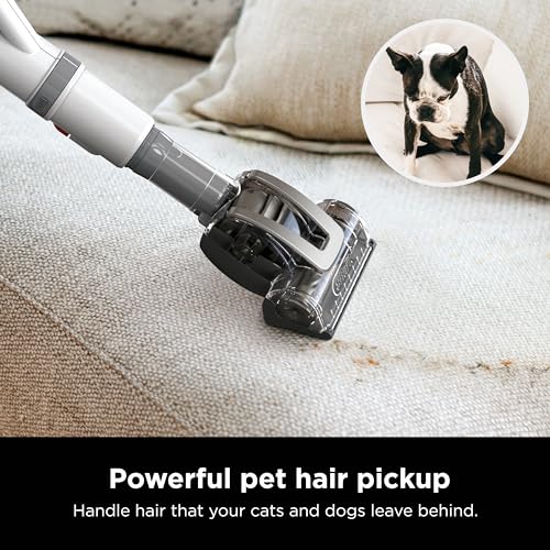 Shark Upright Vacuum, Navigator Lift-Away Deluxe with Large Dust Cup Capacity, HEPA Filter, Swivel Steering, Upholstery Tool & Crevice Tool, Blue, NV360
