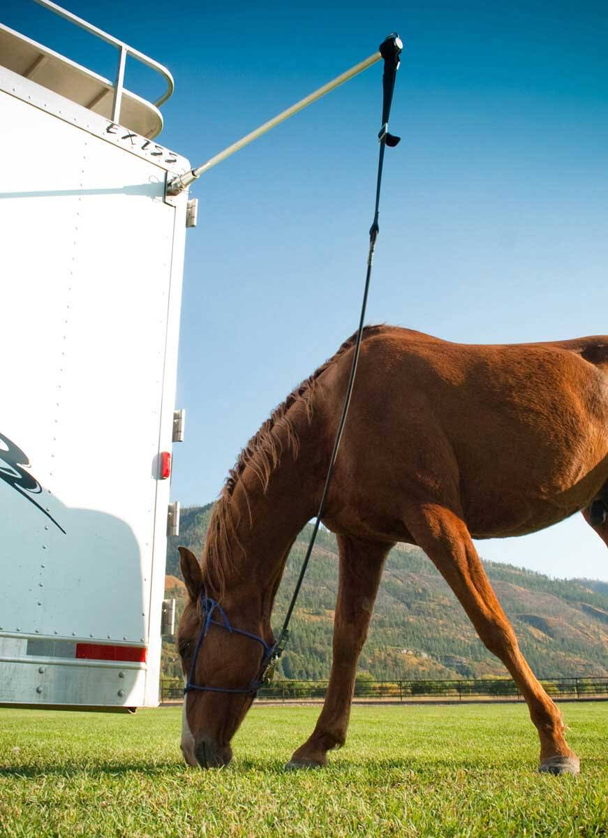 Easycare The HiTie Trailer Tie System