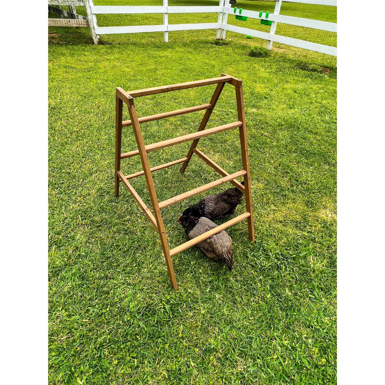 Zylina Play-N-Roost Roosting Ladder - Shop Hardware Tools Online Store
