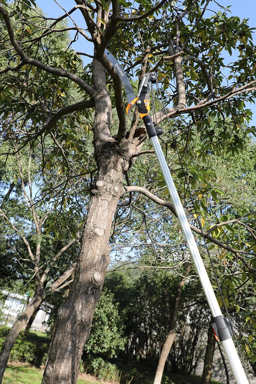 GARCARE Pole Saws for Tree trimming & Tree Pruner Extendable 2 in 1 with 3/4'' Cutting Capacity, Adjustable Length 4.6-7 foot
