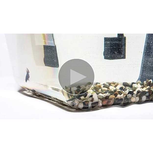 Back to the Roots Water Garden - Pet Supplies online store