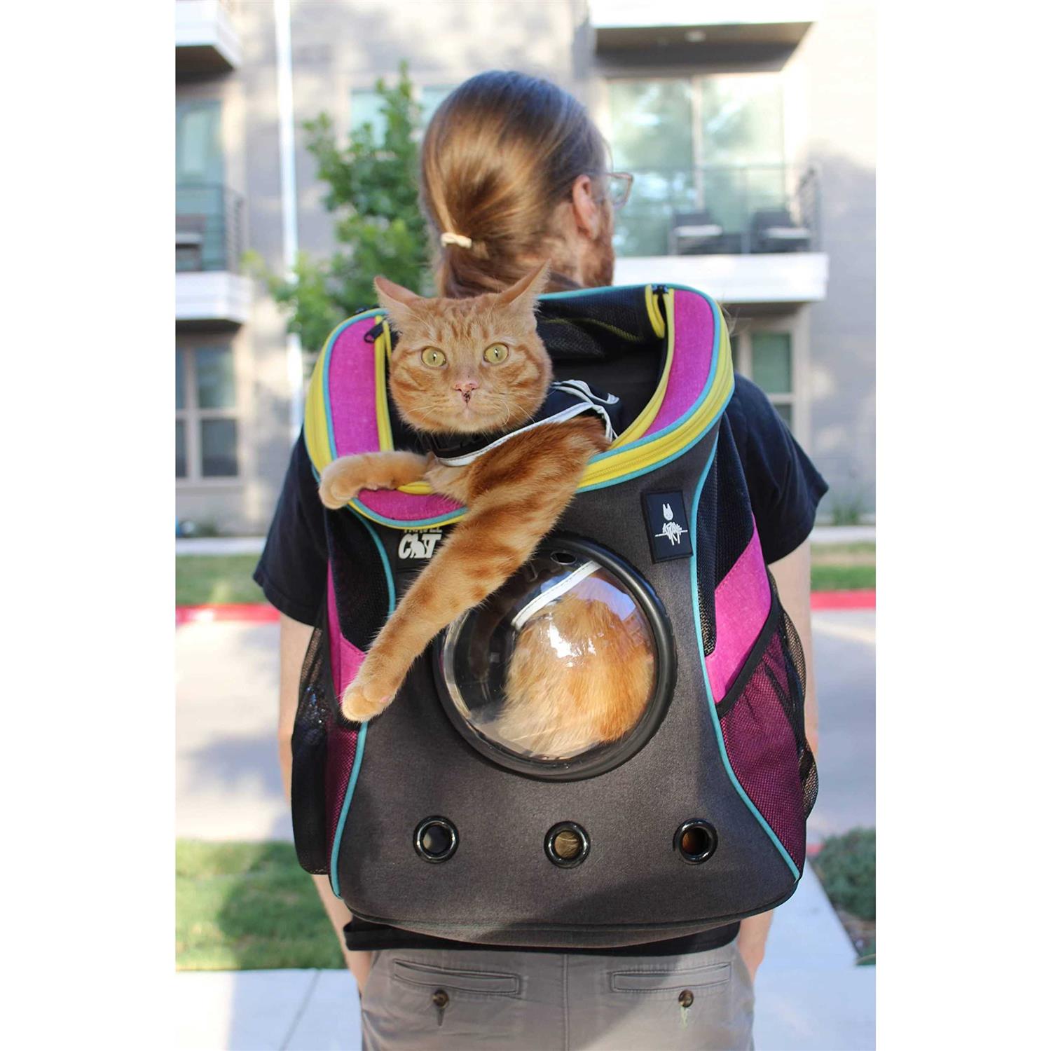 Cat Backpack Stray x Travel - Pet Supplies online store