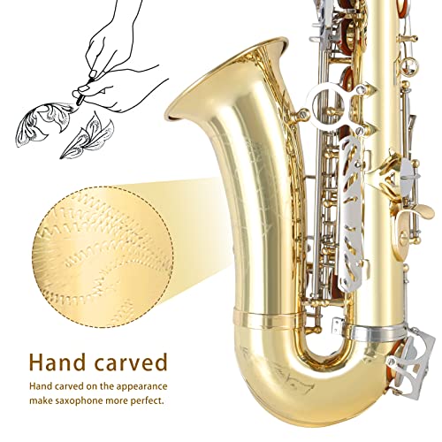 EASTROCK Black Nickel/Golden Alto Saxophone E Flat Sax Full Kit for Students Beginner with Carrying Case,Mouthpiece,Mouthpiece Cushion Pads,Cleaning Cloth&Cleaning Rod,White Gloves,Neck Strap