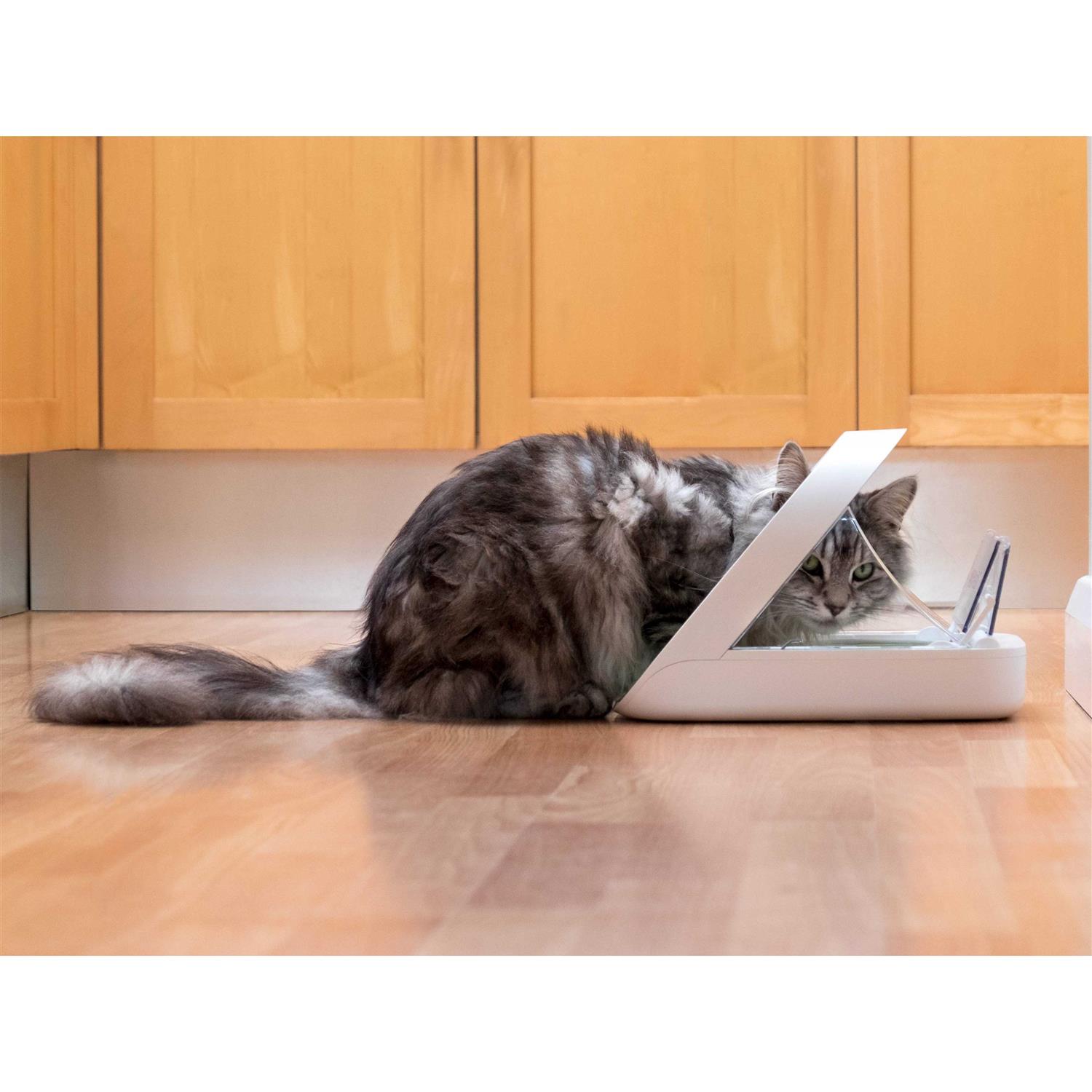 SureFlap SureFeed Microchip Pet Feeder - Pet Supplies online store