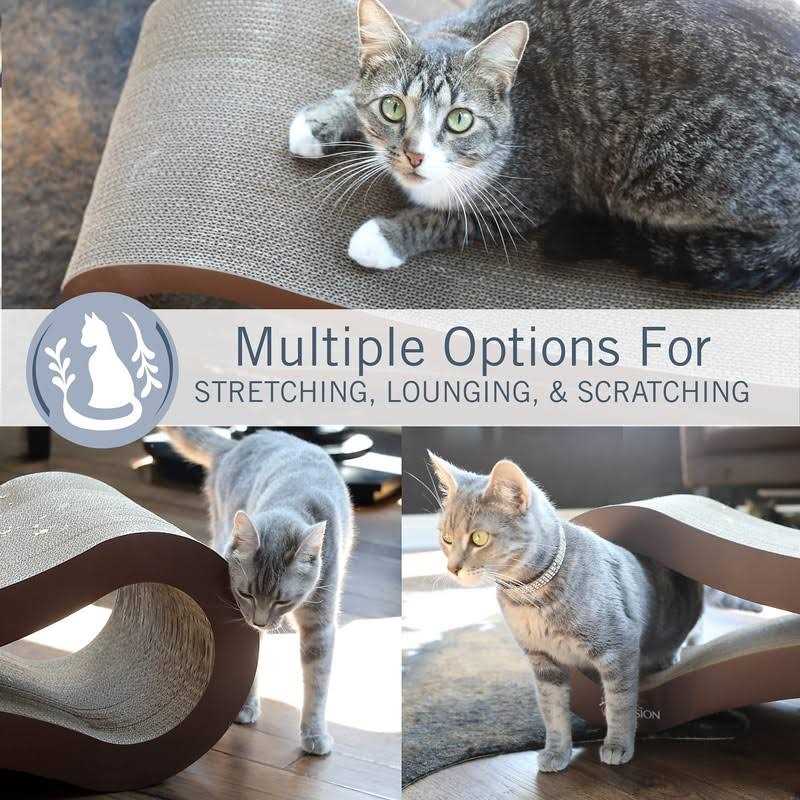 PetFusion Ultimate Cat Scratcher Lounge - Pet Supplies online store