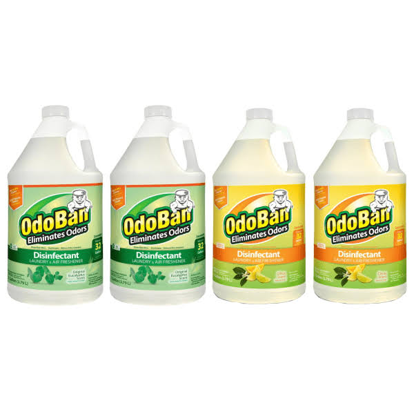 OdoBan Odor Eliminator Disinfectant Concentrate, 128 oz, Case of 2 Eucalyptus Scent Jugs and 2 Citrus Scent Jugs