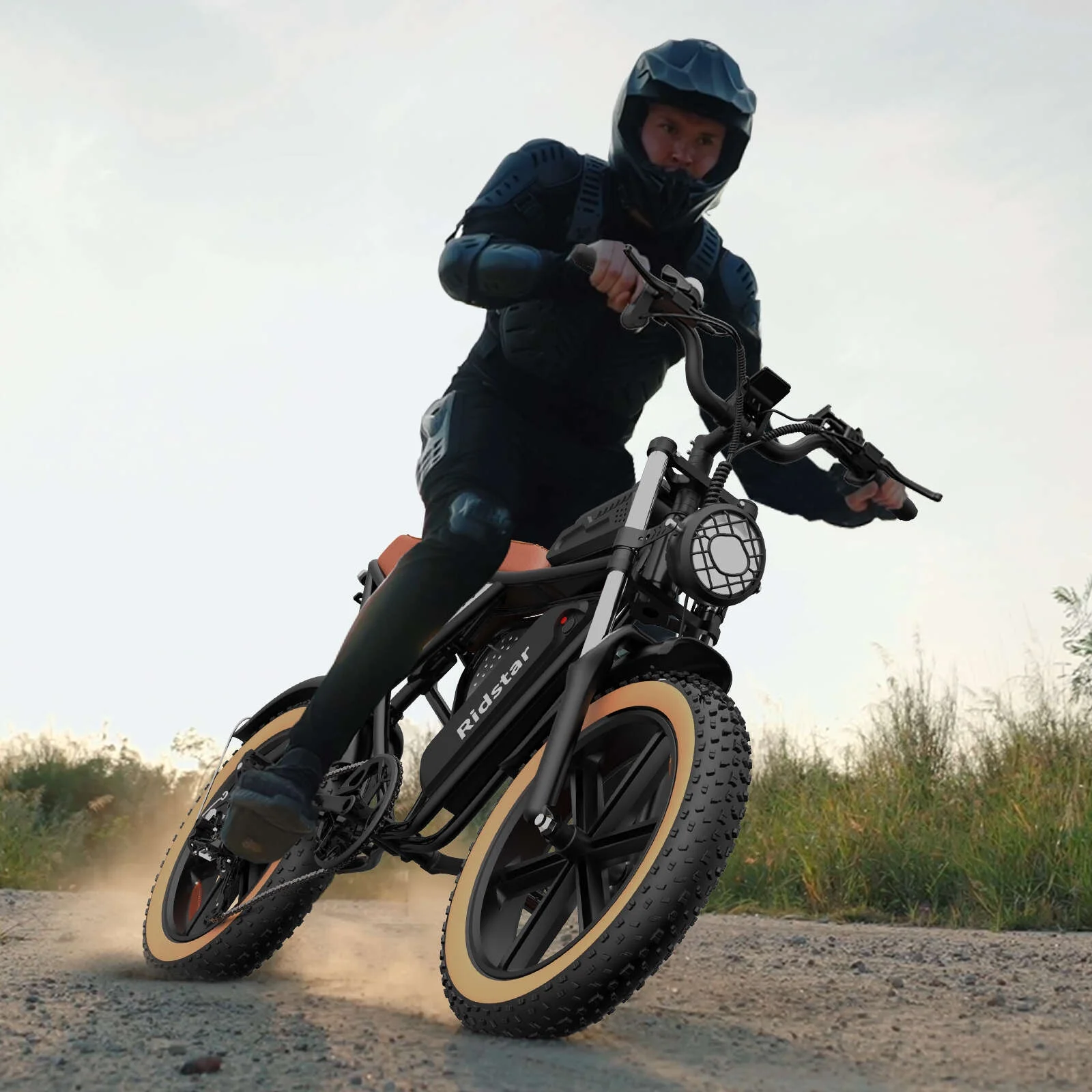 Electric Bike for Adults Ridstar, 1000W,30MPH e-Mountain Bike,48V 15.6AH Removable Battery, Motorcycle 20" Fat Tire Electric Bicycle, All-Terrain Ebike UL Certified