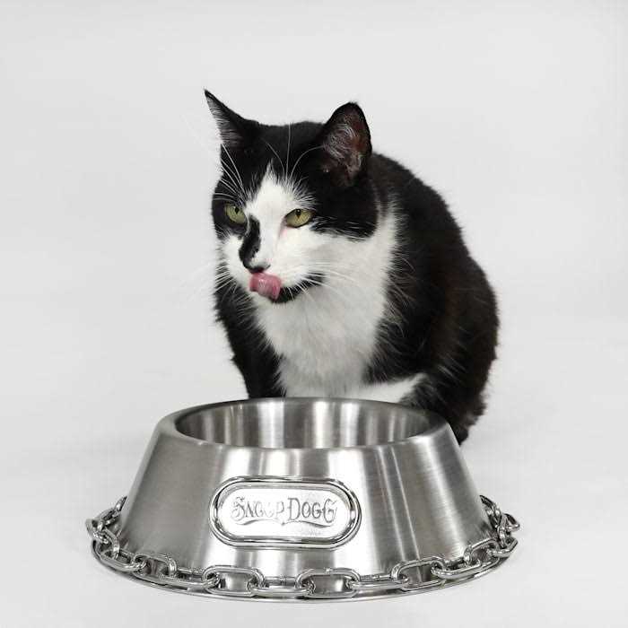 Snoop Doggie Doggs Off The Chain Bowl - Pet Supplies online store