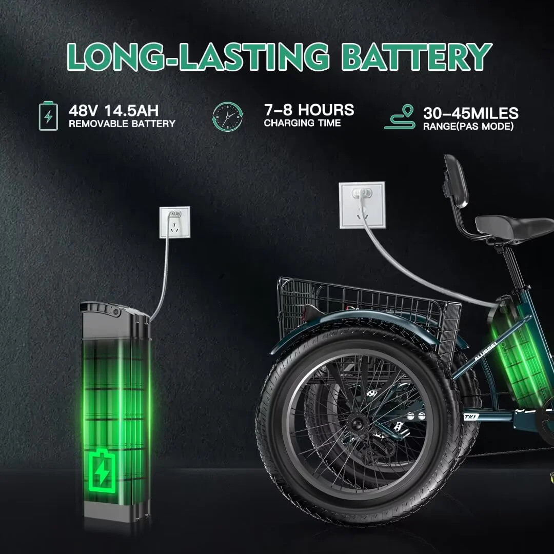NAIZEA 20 Electric Trike Tricycle for Adults, 7 Speed Fat Tire Electric Trike, 3 Wheels Bike for Adults with Front and Rear Baskets, Lithium Battery UL Certified