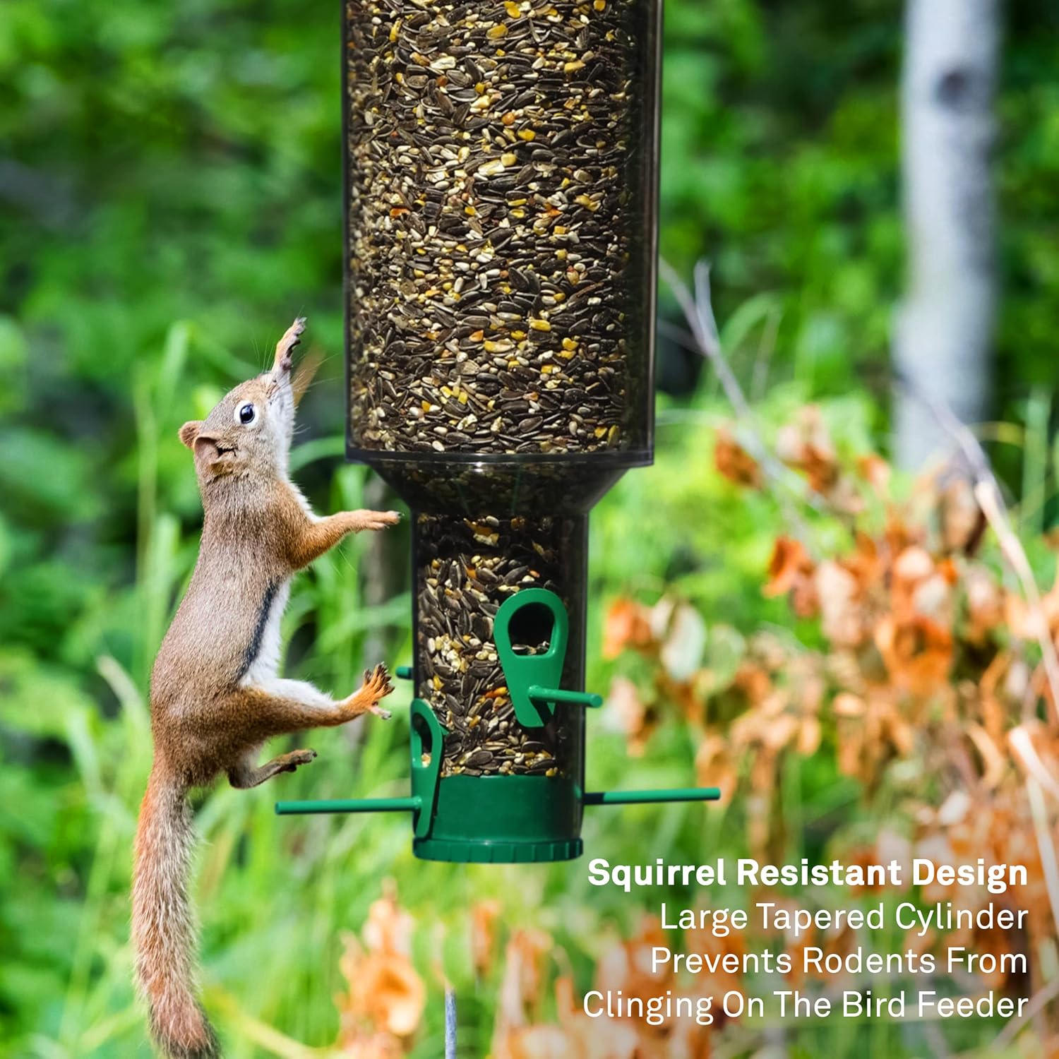 My Bird Feeders Squirrel Proof for Outside Hanging - Large Cylinder Tube 7lb Capacity - Rain Diversion, Mold Prevention, Easy Clean - Wild Bird Feeder - Great for Cardinals, Finch, Blue Birds & More Pack of 2