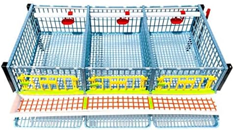Quail Cage - 5 Layer (Power-Washable, Durable, ABS Plastic) | Hatching Time