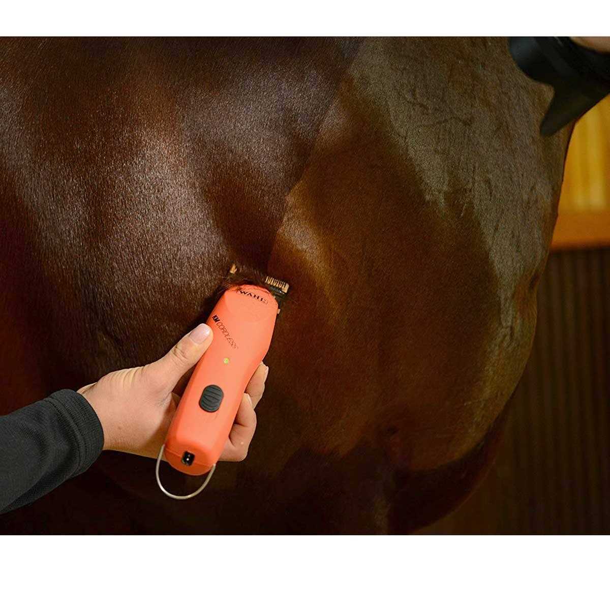 Wahl KM 2 Speed Cordless Clipper - Pet Supplies online store