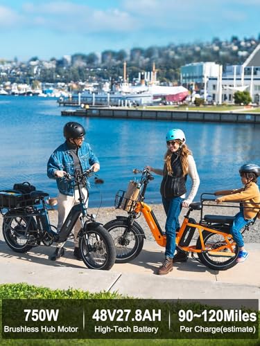HAOQI Electric Bike for Adults, 750w Brushless Motor,48V 27.8Ah Dual Battery for 90-120 Miles Range,20 * 4" Fat Tire Cargo Ebike, 450lbs Weight Capacity with Front and Rear Baskets