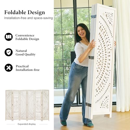 Room Divider Wood Carved Wall Divider Indoor Folding Bohemian Style Portable Partition Screen for Home Office Garden Terrace - 6 Panels (Antique, White-Washed)