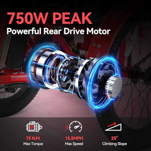 Vivi T01 20" x2.6 Fat Tire Electric Tricycle for Adults, 750W Peak 20'' Folding 3 Wheels Electric Bike, 95% Pre-Assembled, Speed Differential, 15.5MPH Eletric Trike with Bracket