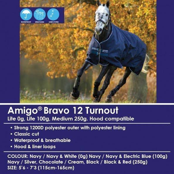 Amigo Bravo 12 Turnout Sheet