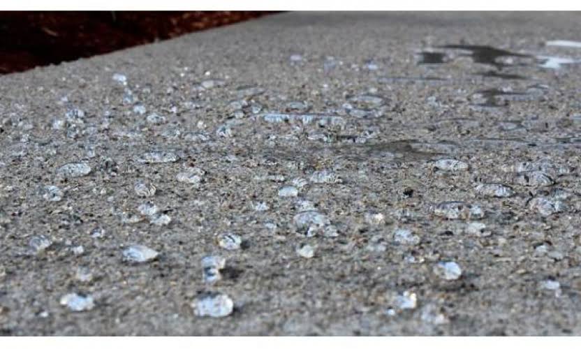 Armor SX5000 Penetrating Silane Siloxane Concrete Sealer and Masonry Water Repellent (5 Gal)