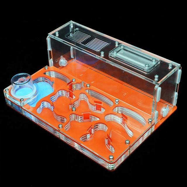 Acrylic Ant Nest-large Flat Farm with Feeding Area and Workshop Castle