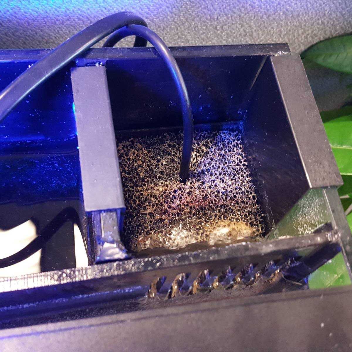 Innovative Marine Auqa Shield UV Sterilizer Midsize - Pet Supplies online store