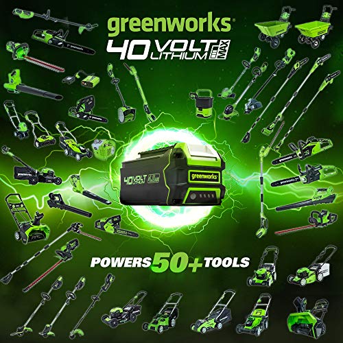 Greenworks 25302 20-Inch 40V Twin Force Cordless Lawn Mower, 5.0Ah