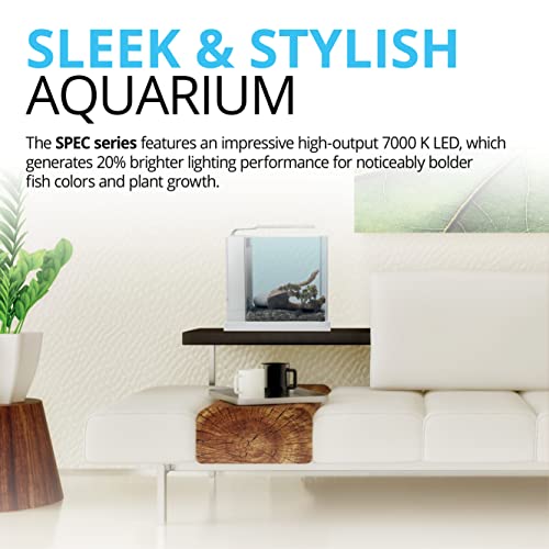 Fluval SPEC Freshwater Aquarium Kit, Aquarium with LED Lighting and 3-Stage Filtration