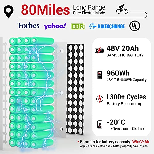 Himiway Zebra D5 Electric Bike, 750W Motor 48V 20Ah Removable Battery 80Miles Range E-Bike for Adults, 26x4 Tire 400lbs Payload, Hydraulic Brakes, 25Mph, 7-Speed