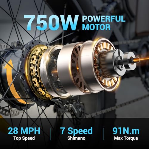 Antelope-P5 ebikes for Adults 750W 24"*4.0" Fat Tires，48V 16Ah Electric Commuter Bike,7 Gears with Full Suspension Hydraulic Brakes， Electric Bicycle for Adults，for All-Terrain Riding