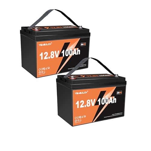 12V 300Ah LiFePO4 Lithium Battery, Built-in 200A BMS with 6000+ Deep Cycles Rechargeable 3840Wh Lithium Battery for RV Solar Marine Solar Panel Camping