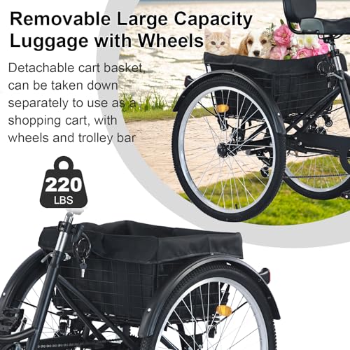 Upgraded Adult Tricycle, 7 Speed Tricycle for Adults with Front & Rear Baskets, 3 Wheel Bikes for Adults, Adult Tricycles for Women Men Seniors, Adult Trike, 26 inch Three Wheel Bikes