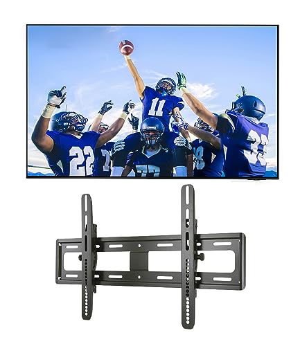 SAMSUNG S95CA Series TV with a TV Mount (2023)