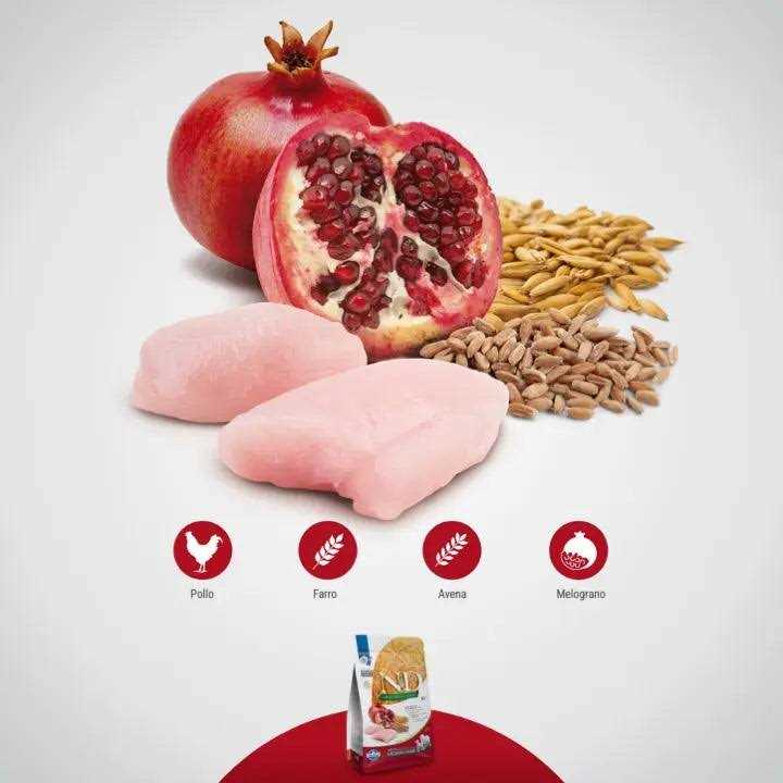 Farmina N&amp;D Ancestral Grain Chicken &amp; Pomegranate Medium &amp; Maxi Adult Dry Dog Food, 26.5-lb bag - Pet Supplies online store